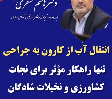 آب از کارون به جراحی، تنها راهکار مؤثر برای نجات کشاورزی و نخیلات شادگان