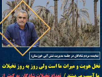 نخل هویت و میراث ما است ولی روز به روز نخیلات ما آسیب می‌بینند