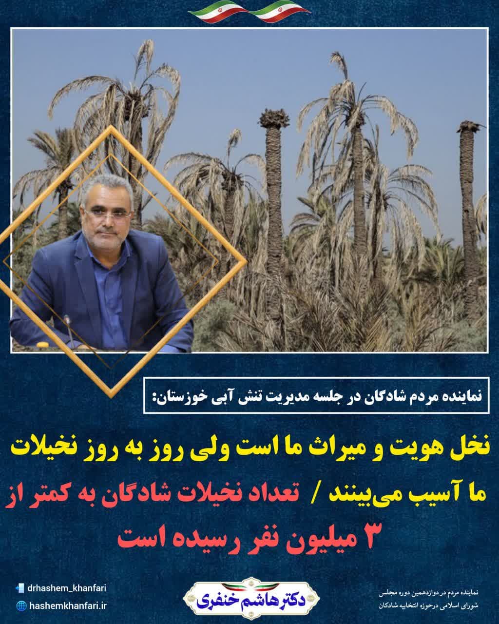 نخل هویت و میراث ما است ولی روز به روز نخیلات ما آسیب می‌بینند
